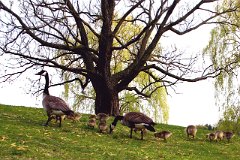 photo 0036